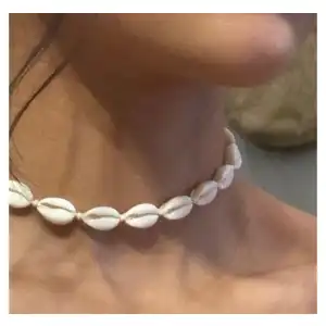 Collar con caracoles cauris miniatura 1